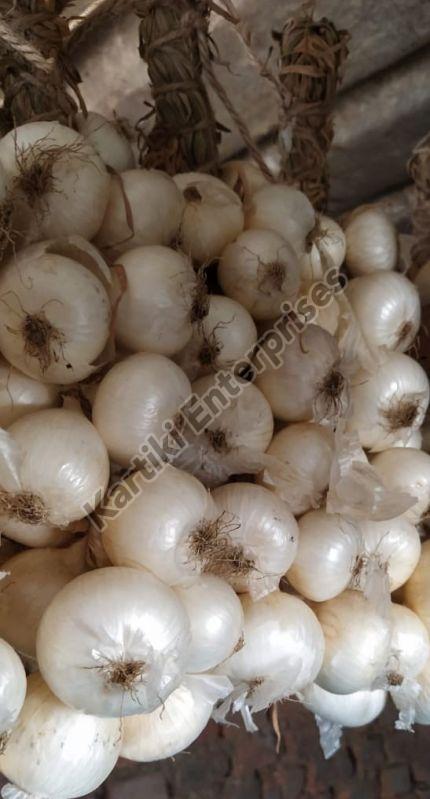 Natural White Onion