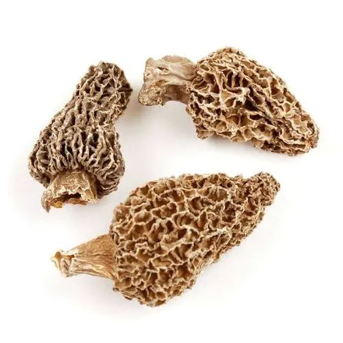 Dried Morel Mushroom