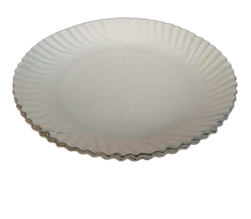 10 Inch Duplex White Wrinkle Paper Plate
