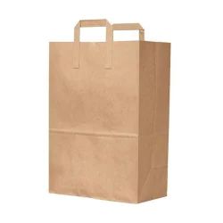 Plain Handle Paper Bag