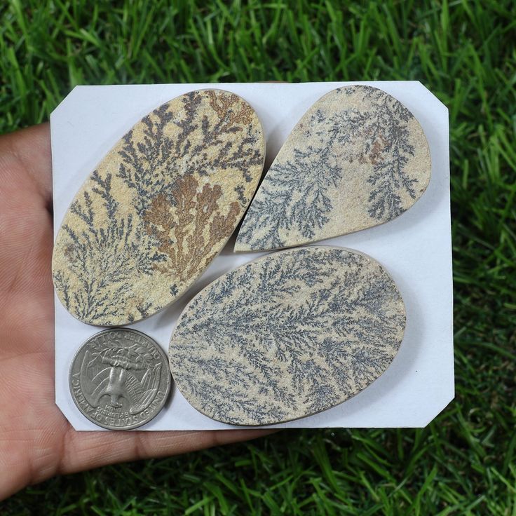 Natural Psilomelane Dendrite Slice Gemstone