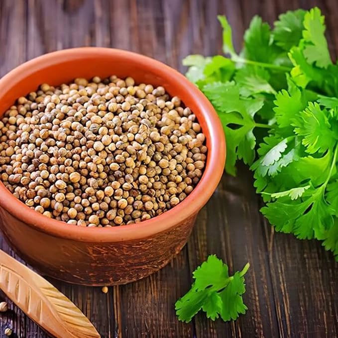 coriander seeds