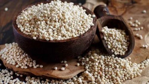 White Sorghum