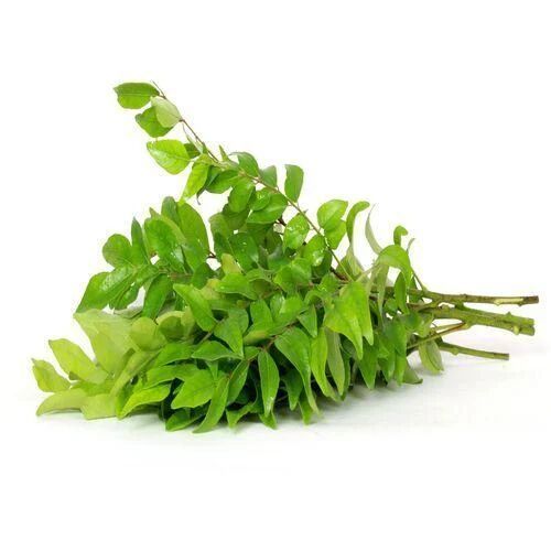 Fresh Curry Leaf