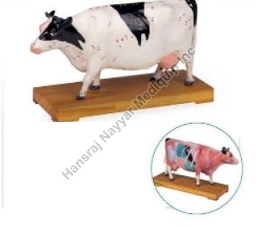 Acupuncture Cow 3D Anatomical Model