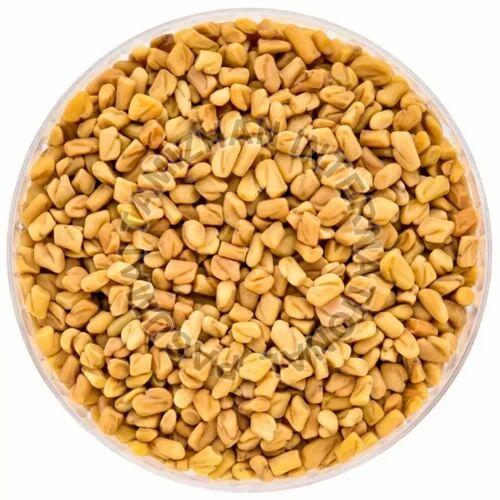 Indian Fenugreek Seeds