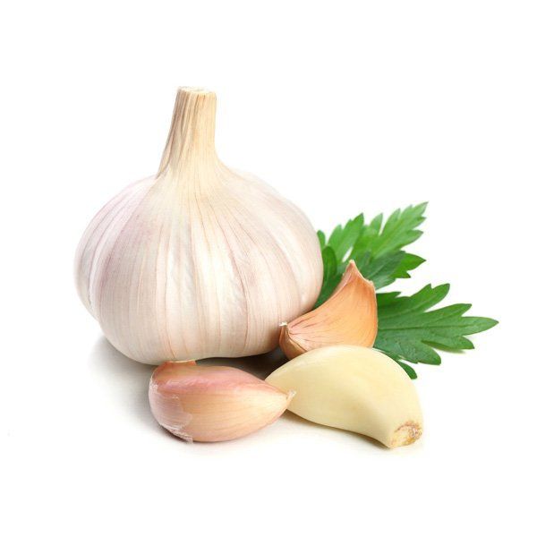 Fresh Garlic