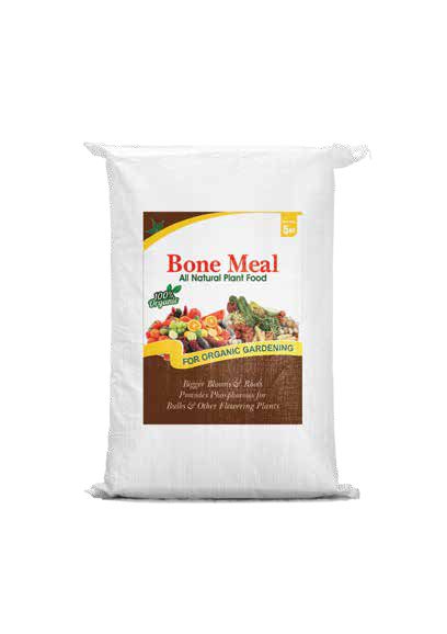 Bone Meal Powder