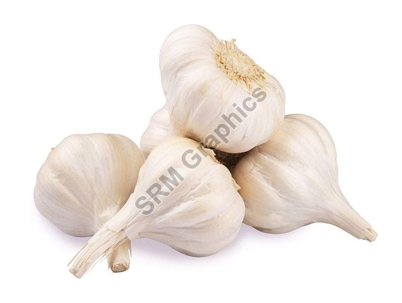 White Garlic