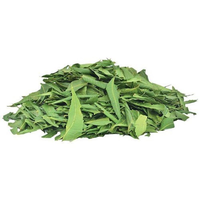 Dried Neem Leaves