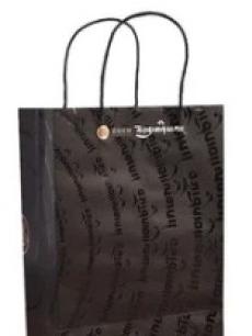 Black Stylish Printed Paper Carry Bag