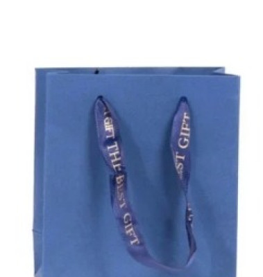 Skyblue Paper Shopping Bags