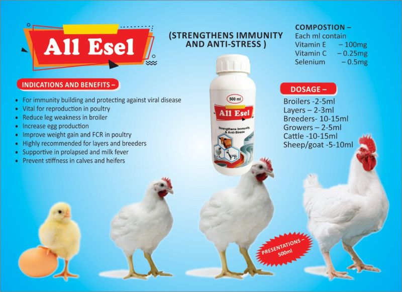 All Esel Animal Feed Supplement