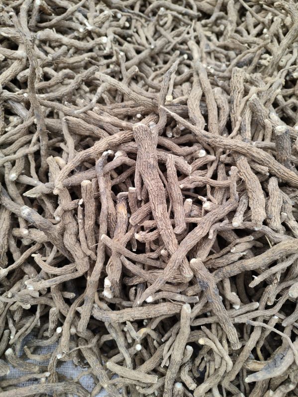 Solid Dried Sarpagandha Root