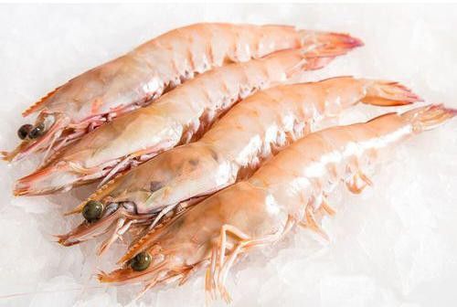Fresh Shrimp