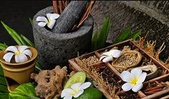 Ayurveda Consultations