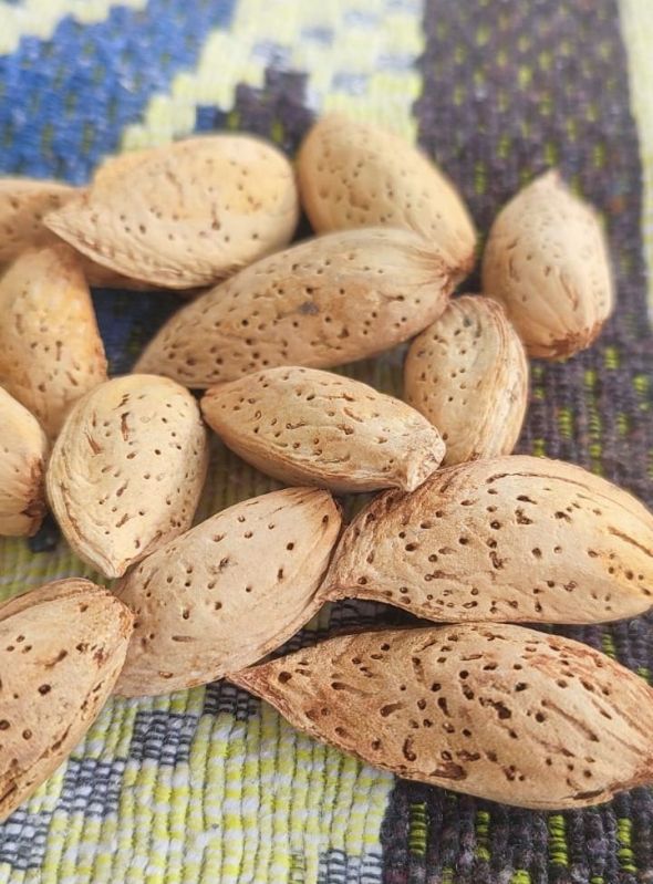 Badam/Almonds