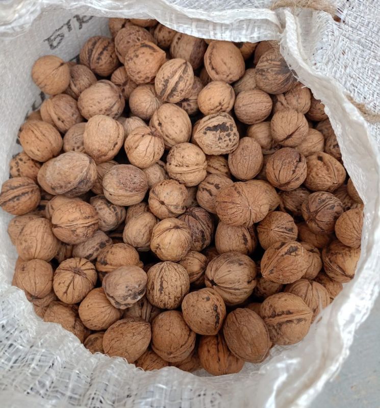 Shelled Walnuts