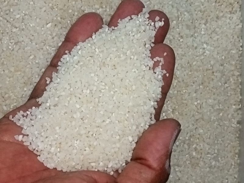 Raw Sortex Broken Rice