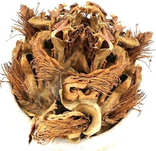 Dried Semal Phool