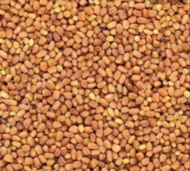 Kalmegh Seeds