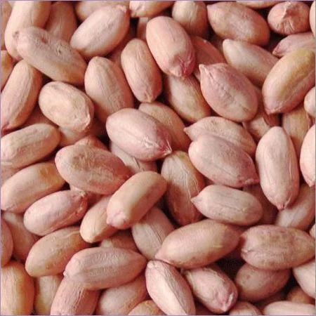 Peanut Kernels