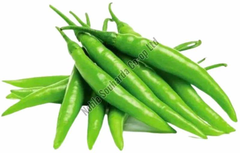 fresh green chilli