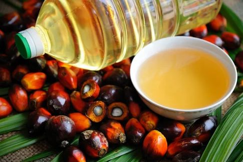 Palm Oil