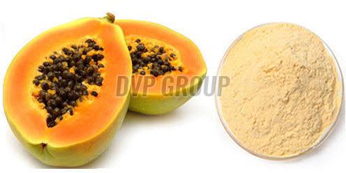 Papaya Powder