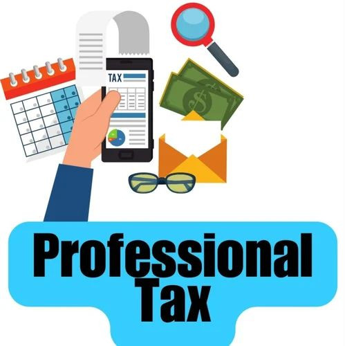 Professional Tax Report Service