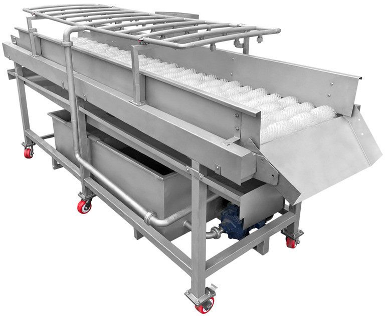 Continuous Type Vegetable Brush Washer