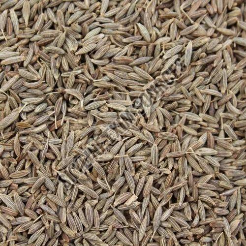 Cumin Seeds