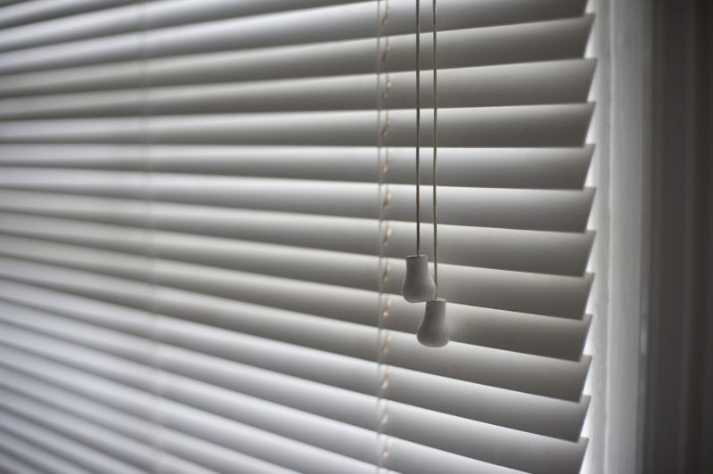 Horizontal Blinds