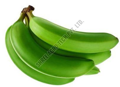 Fresh Raw Banana