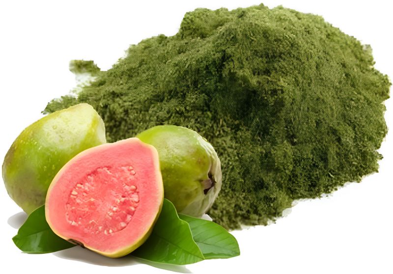 Guava Leaf Powder