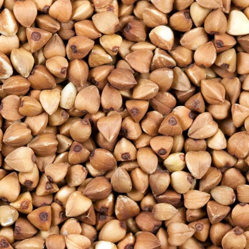 Buckwheat Seeds