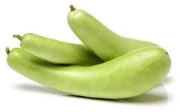 Fresh Bottle Gourd