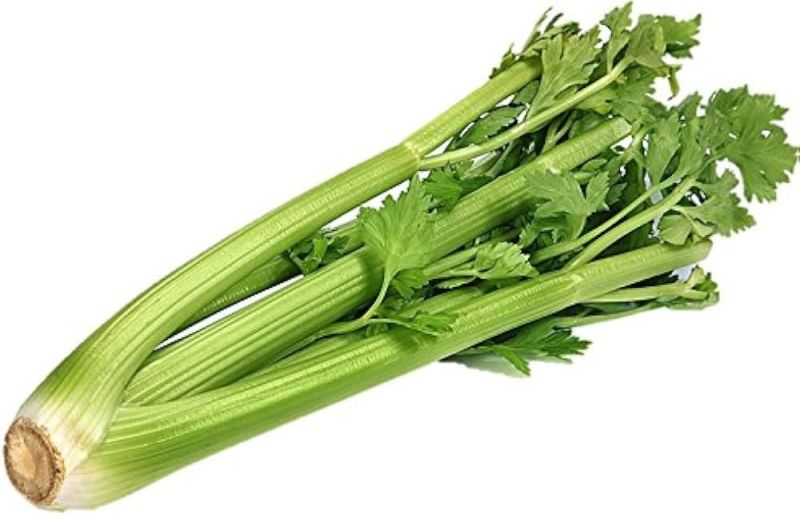 Fresh Celery