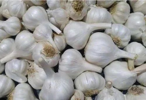 A Grade Garlic