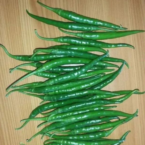 A Grade Green Chili