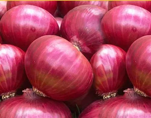 A Grade Red Onion