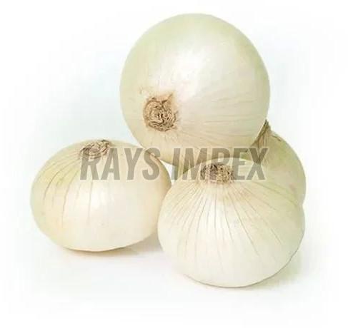 White Onion