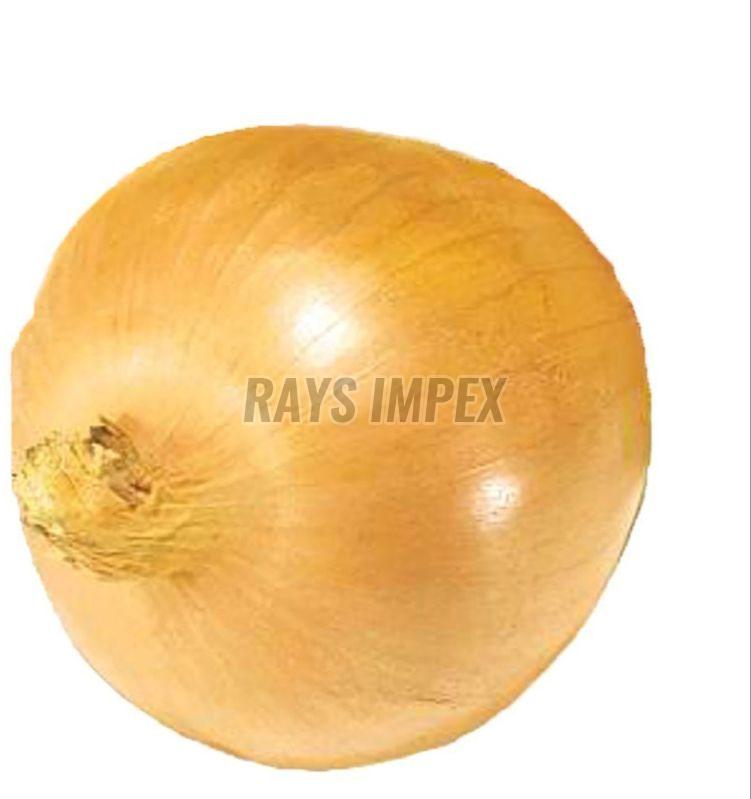 Yellow Onion