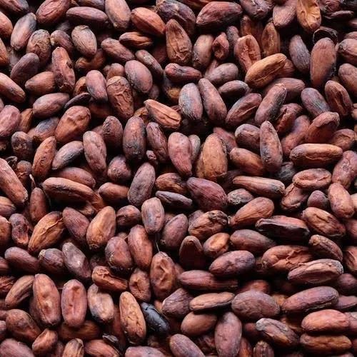 Cacao Nibs