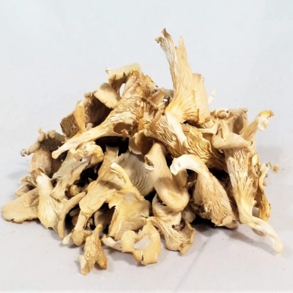 Dried Oyster Mushroom