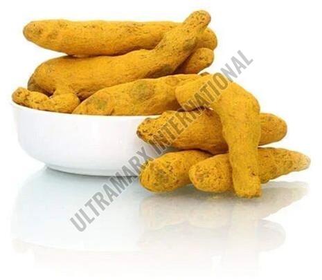 Dry Turmeric Finger