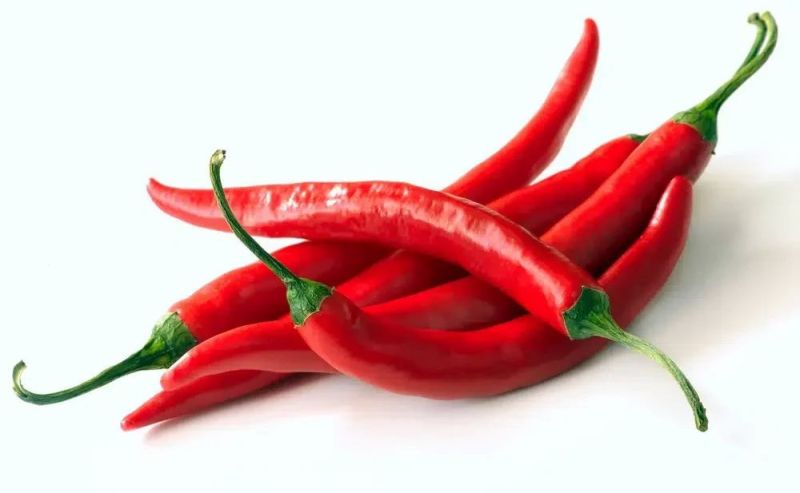 Fresh Red Chilli