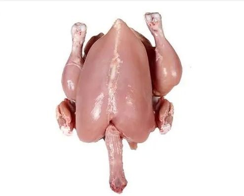 Fresh Whole Chicken