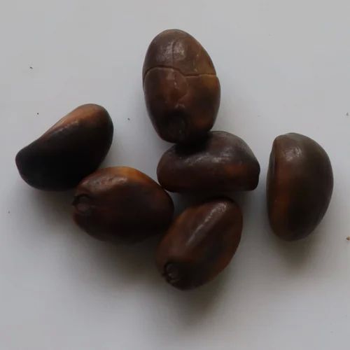 Clove Beans Seeds