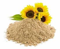 Sunflower Lecithin Powder